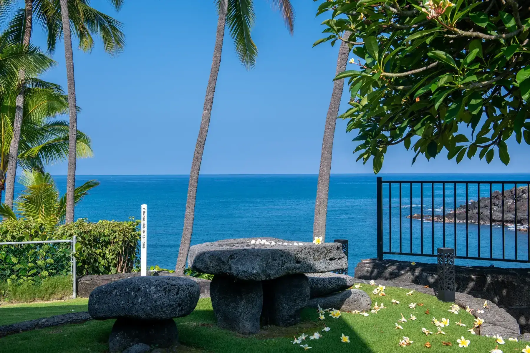 Kinohi at He'eia, photo 4