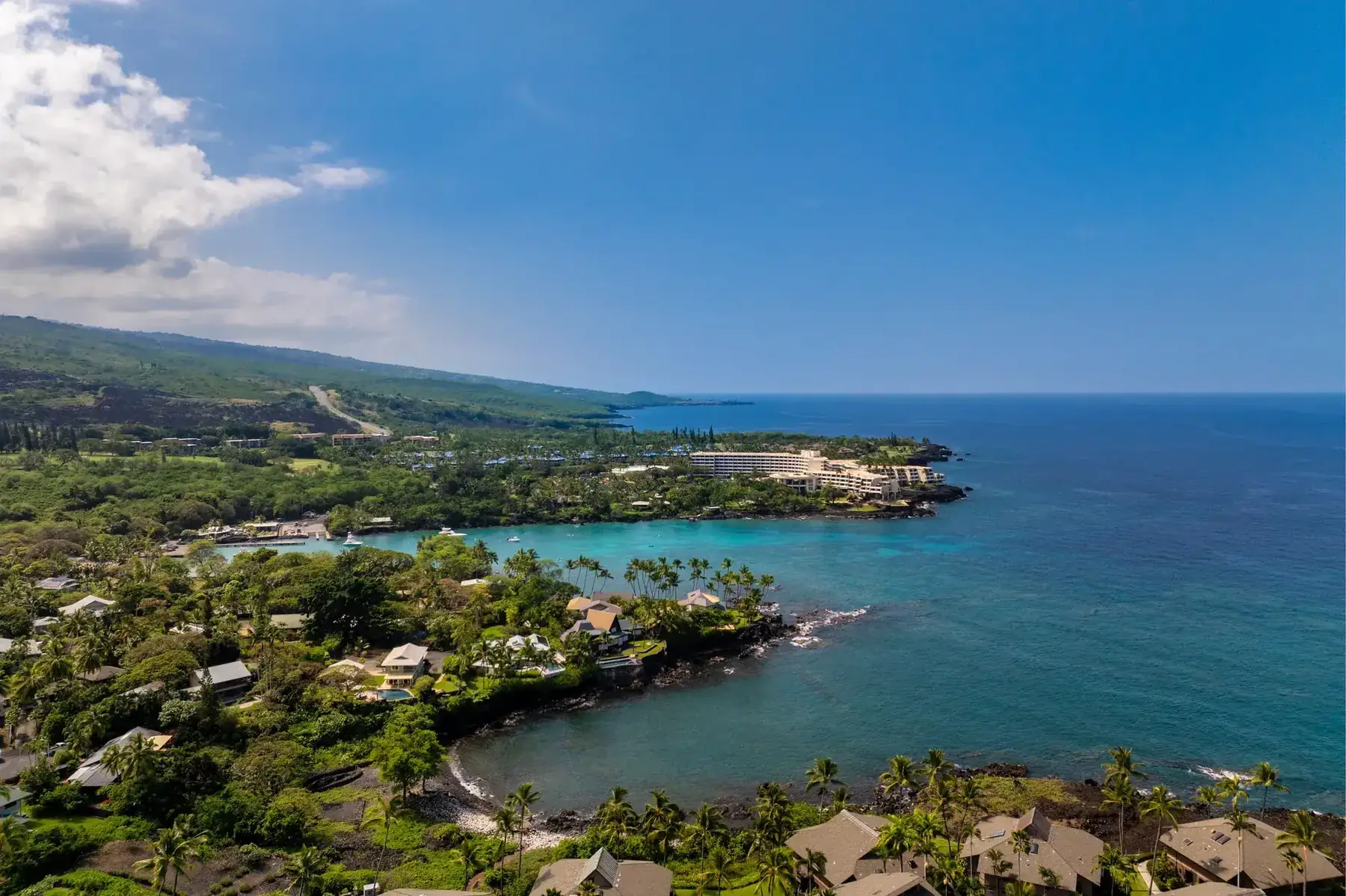 Kinohi at He'eia, photo 7