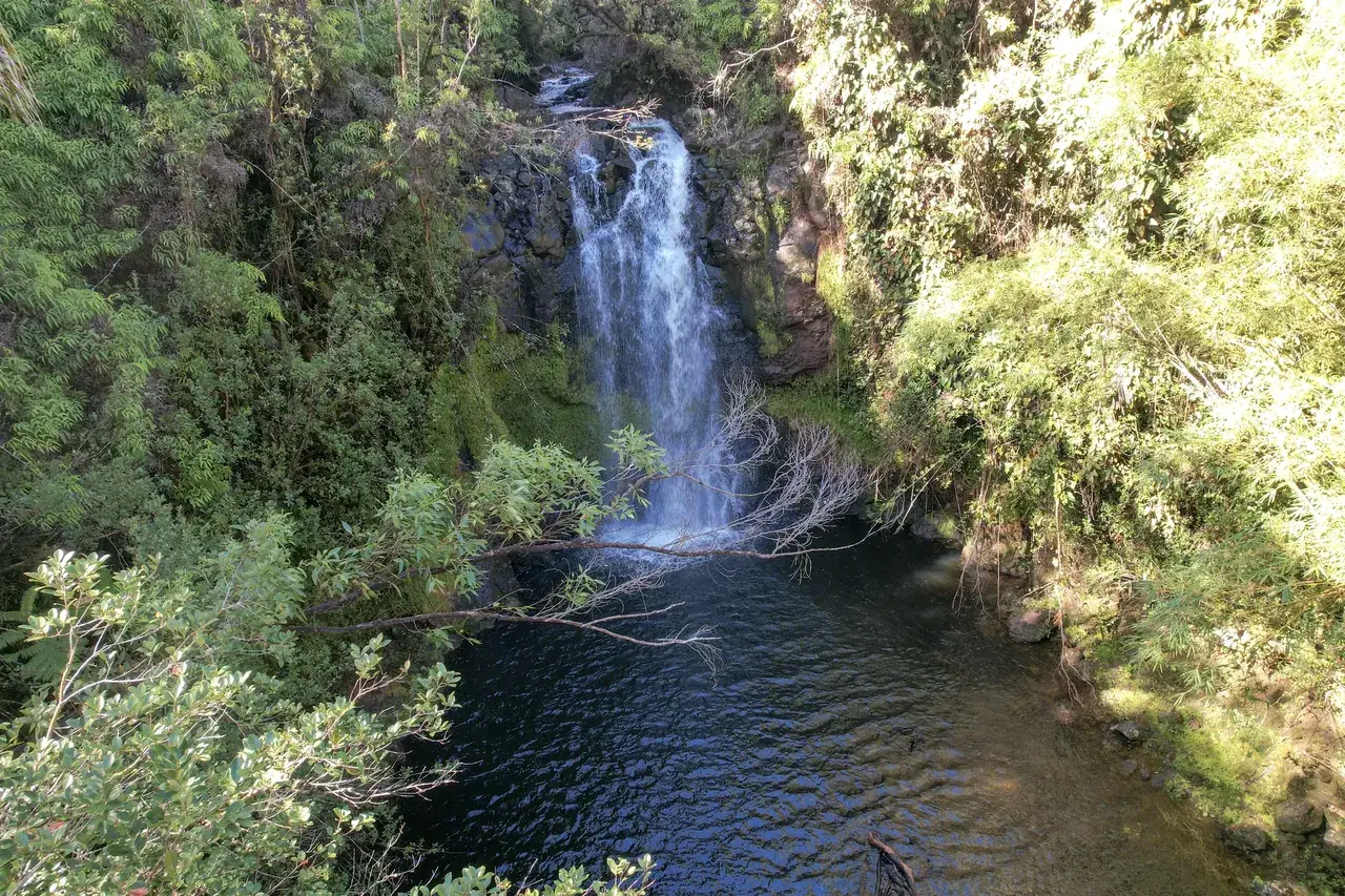 Waterfall Ranch, photo 3